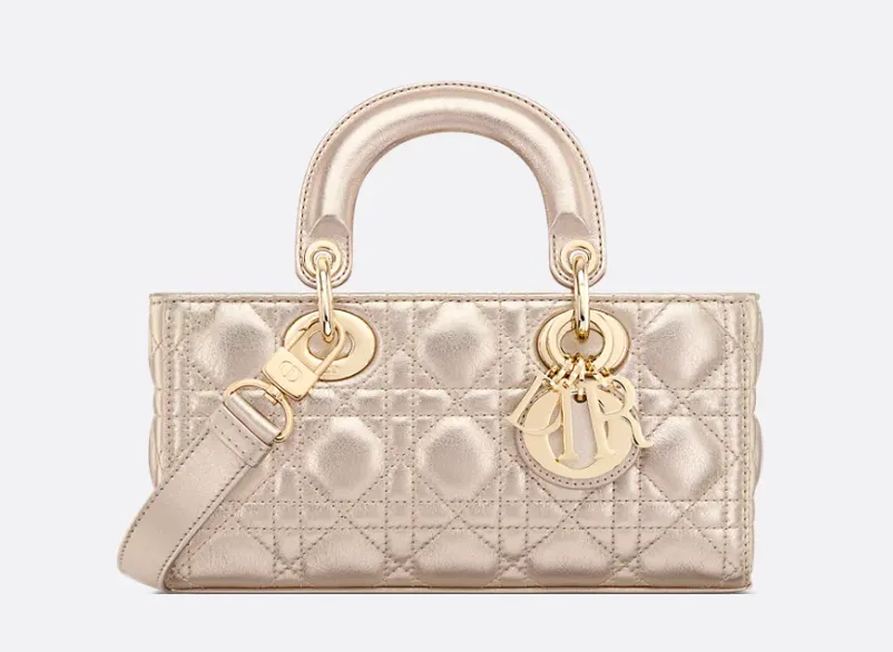 DIOR Lady D-Joy Bag
