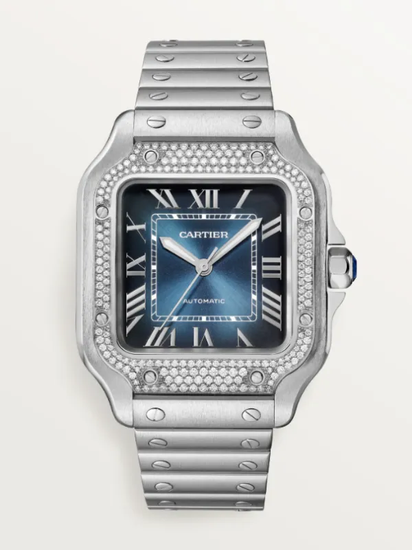 Product Santos de Cartier watch Image