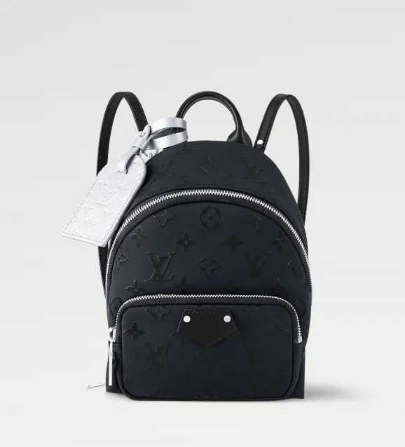 Product Louis Vuitton Palm Spring Mini Image